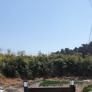 얼레지펜션 이미지