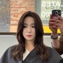 코너헤어샵 | [헤어샵] 리코너13 합정점 승혁 디자이너 레이어드컷 & 클리닉 후기 (feat.합정역미용실)
