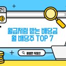 메디슨약국 | 미국주식 월급처럼 받는 배당금, 월 배당주 TOP 7