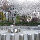 까치공원 바닥분수 이미지