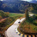 스카이라인루지통영 주식회사 이미지