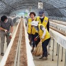 윤일순농장 이미지