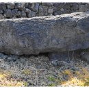 동일리 지석묘 4호 이미지