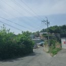 동재치과의원 네이버블로그