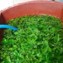 어여가세 이미지