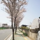 증산1길 이미지