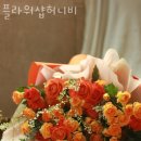 플라워샵 허니비 이미지