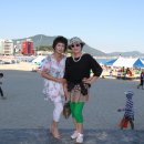 송도해수욕장 이미지