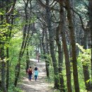 대장금마실길(4코스) 이미지