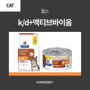 D&K | 고양이 신부전 사료, 힐스 k/d 리뉴얼 후기
