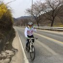 알파수원 이미지