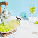 과일앤빙수