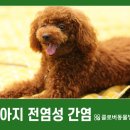 송도 클로버동물병원 이미지