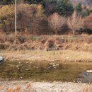 카누글램핑펜션 이미지