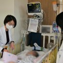 도토리 하우스 이미지