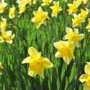 호림농장 이미지