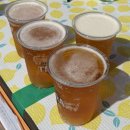 꼴찌학교 | 난 우주 최고의 꼴찌