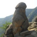 명함동산