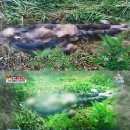 세모안경 이미지