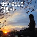 각원사길 | 천안 각원사의 봄, 해질무렵이 흩날리는 겹벚꽃이 너무 이뻐요