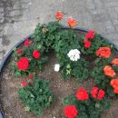 강산의료기 | 신기술 만난 한국 대표 콘텐츠, 아랍에미리트에서 매력 발산