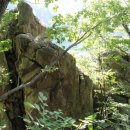 나무여행 이미지