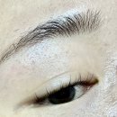 뷰티블러썸 | 병점 속눈썹펌 병점속눈썹연장 블러썸뷰티 비비래쉬 후기