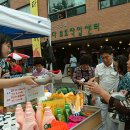 늘 푸른 나무 이미지