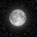 베레시트 아유경제