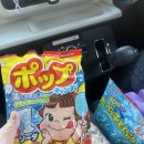 마코토키친 | 도치기현 일루미네이션 그리고 신카이마코토감독 필름 콘서트 2026