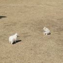 창천초교 이미지