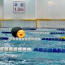 스윔21(관양점) 이미지