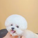 그루미재이 이미지