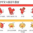 하나응급처치교육원 이미지
