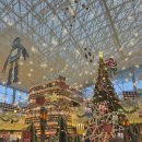 인당쌀상회 | 서울 파르나스 그랜드 키친 뷔페 디너 연말 웨이팅 후기 + 삼성 더원카드