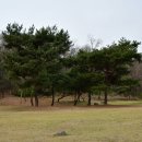 정발산공원 이미지