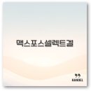 이지약국 | 맥스포스 셀렉트겔 사용법부터 약국 가격 후기까지 강아지 고양이 주의점 꼭 알아두세요