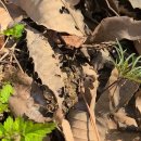 강변로5(서) 이미지