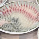 자갈치횟집 이미지