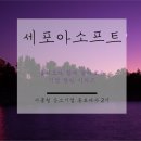 도보소프트 이미지