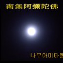 정근 카카오 검색결과