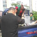 행운동-31 이미지