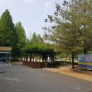 천안시시설관리공단 한들문화센터 수영장 이미지