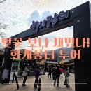 화개장터 | 하동 화개장터 벚꽃 여행 후기(축제 전 방문 꿀팁까지!)