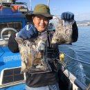 노을쭈꾸미 이미지