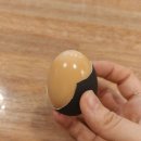 <참숯란> 이런 선물 처음이야