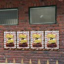 코끼리주방 | [성수] 성수동 베이글 맛집 코끼리베이글 솔직후기 / 아직도 핫한 이유