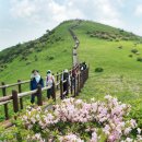 만개 충청타임즈