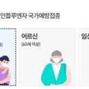 분당성모이비인후과의원 이미지