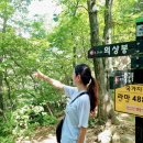 거창 항노화 힐링랜드 | 경남 거창, 거창항노화힐링랜드-고견사-의상봉-우두산 정상-Y자 출렁다리 [우두산, Y자 출렁다리]